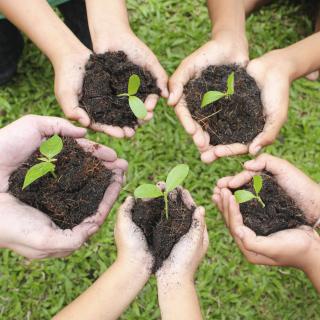 Hands in a circle, each holding dirt and a sprouting plant.