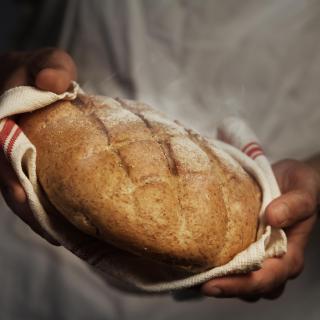 Stock image of a man's hands holding a loaf of bread
