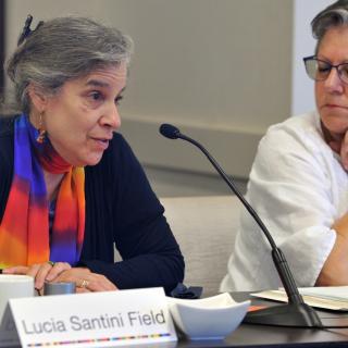 Lucia Santini Field, UUA financial advisor, at the June 2016 Board of Trustees meeting
