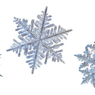 Stock photo of 3 snowflakes.