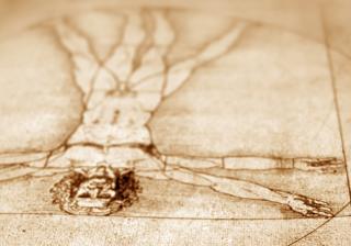 Leonardo Da Vinci anatomy art close-up