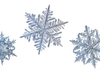 Stock photo of 3 snowflakes.
