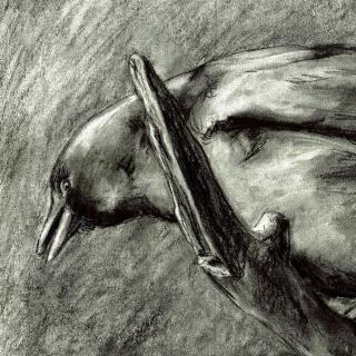 charcoal on paper drawing of a bird. Black and white.
