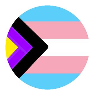 A trans-nonbinary flag consisting of chevrons and stripes of varying colors and intensities.