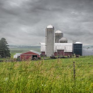 Wisconsin Farm 