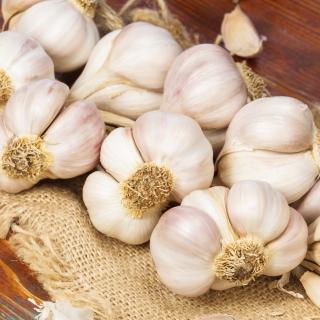 Stock photo of braided garlic.