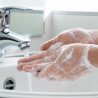 Closeup of a person washing their hands with soap and water