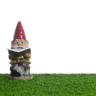 Statue of a Garden Gnome reading book, white background, green grass