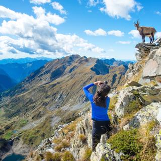 Girl hiker photographer ibex in the mountains - Stock image
