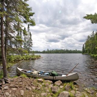 Photograph of a canoe pulled up near shore in wilderness.
