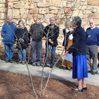 The Rev. Gail Seavey, minister of First Unitarian Universalist Church of Nashville, leads the dedication of a tree to remember and heal from ministerial misconduct at the church 20 years ago.