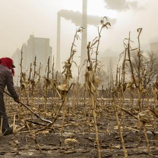 Photo shows farmer preparing for spring near a coal-burning power plant in Shanxi Province, China