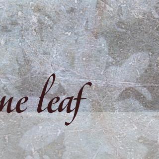background image of leaves frozen in ice, with a poem title of "Lone leaf".