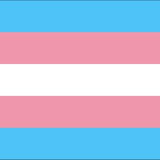 Transgender Pride flag, stripes of blue, pink and white.