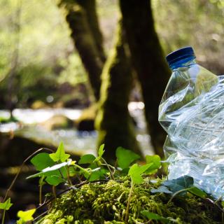 photo of a crumpled up plastic water bottle in foreground with nature scene in background. 