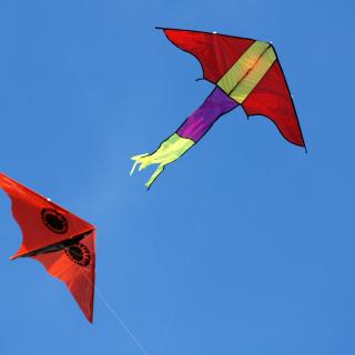 Two red kites against blue sky.