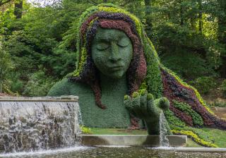 Goddess flower/topiary at the Atlanta Botanical Garden.
