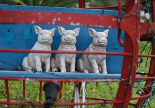 Three little pigs, salvaged carnival ride seat