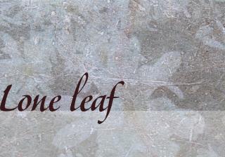 background image of leaves frozen in ice, with a poem title of "Lone leaf".