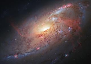 Spiral Galaxy M106