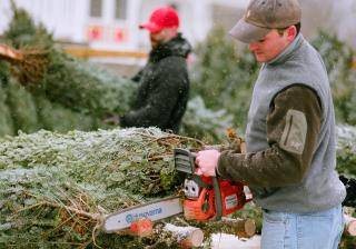 Man trimming bottom off of a christmas tree with a chainsaw