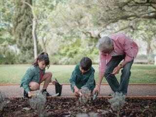An elderly man planting with his grandchildren