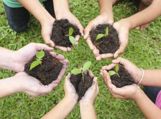 Hands in a circle, each holding dirt and a sprouting plant.