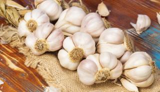 Stock photo of braided garlic.