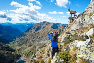 Girl hiker photographer ibex in the mountains - Stock image