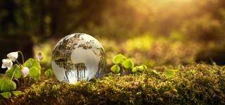 Environment conservation concept - glass earth sitting on a bed of moss - Stock image