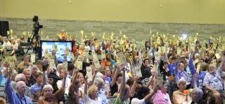 Delegates raise their voting cards during a plenary debate at the 2012 General Assembly.
