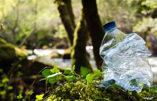 photo of a crumpled up plastic water bottle in foreground with nature scene in background. 
