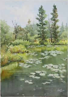 Watercolor of a forest scene by Anne Cohen.