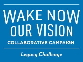 Wake Now our Vision logo