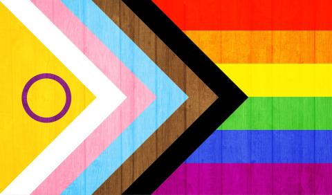 The Intersex Progress LGBTQ+ Flag over wood plank wall texture.